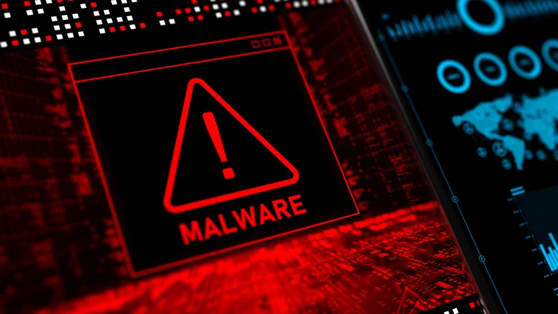 malware removal service